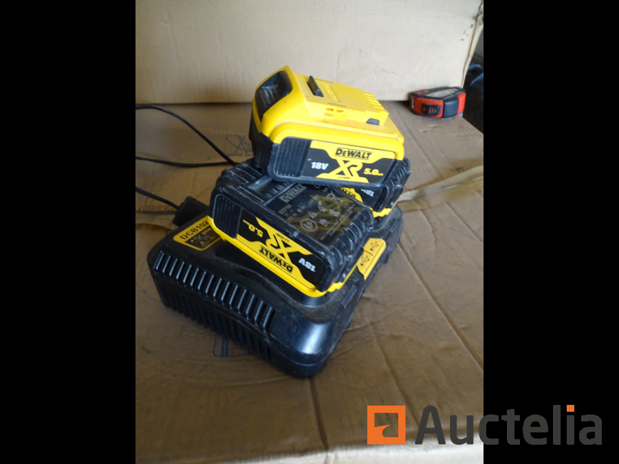 Double dewalt online charger