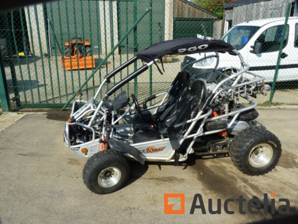 Pgo sale 250 buggy