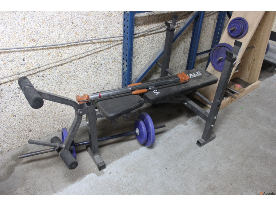 Weight bench for apartment hot sale