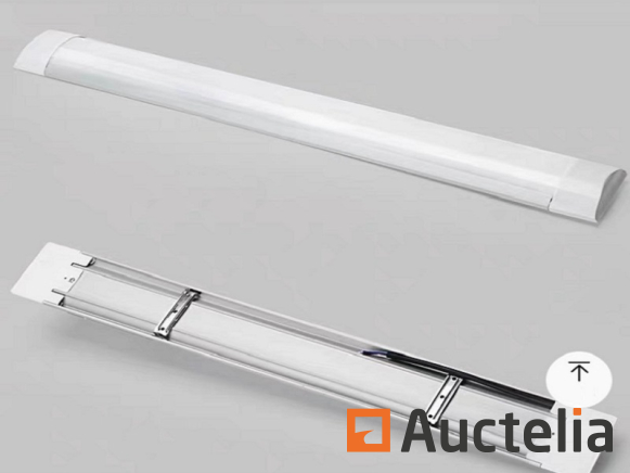 60 x Réglette LED 36W - 120cm Blanc neutre 4000K - Décoration - Lumina 