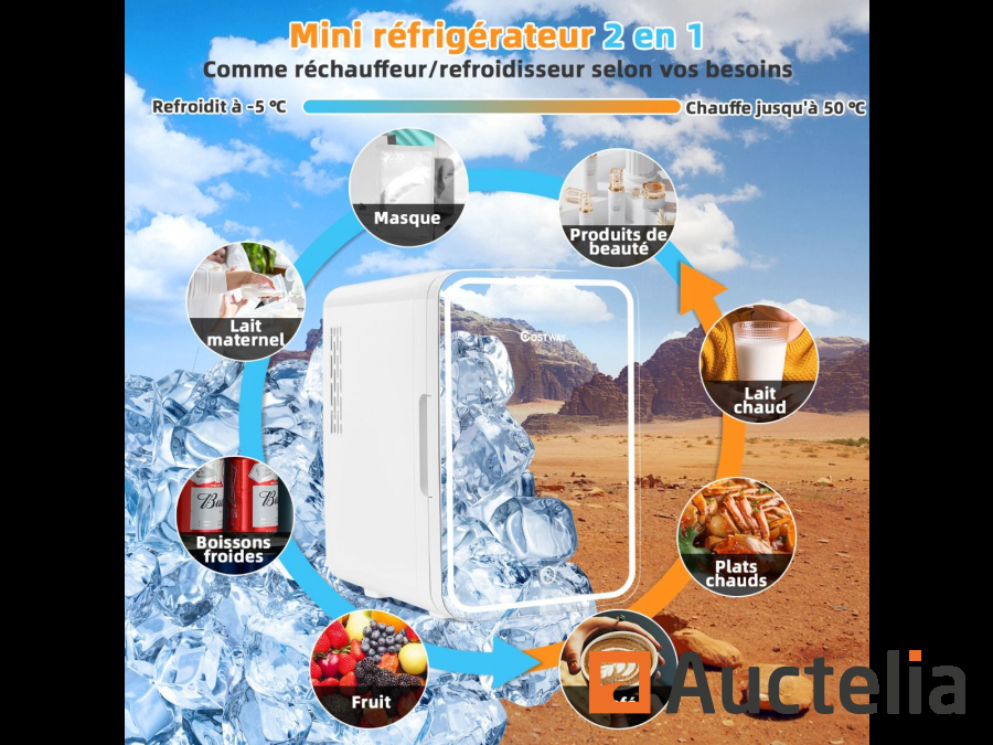 Mini Réfrigérateur 15L 2 en 1 Mini Frigo Portable Fonction de  Refroidissement et de Chauffage Noir+Blanc - Costway